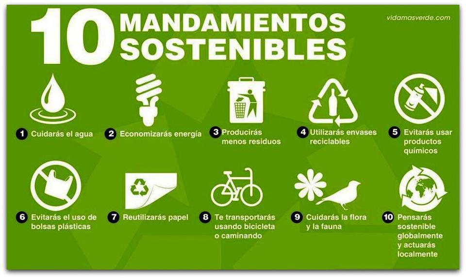 10 consejos practicos para cuidar el medio ambiente
