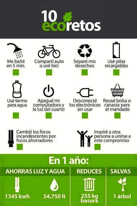 10 consejos practicos para prevenir la contaminacion ambiental en tu comunidad