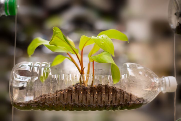 5 proyectos sencillos para contribuir al cuidado del medio ambiente desde casa