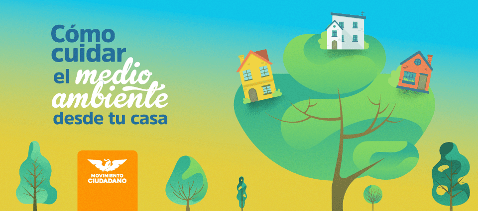 6 consejos simples y efectivos para cuidar el medio ambiente en tu dia a dia