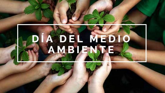 7 practicas sencillas para cuidar el medio ambiente desde hoy mismo