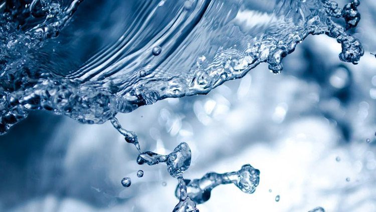 Cuáles son las especies de flora y fauna en un ecosistema de agua dulce 1 agua dulce 5