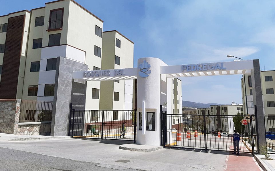 bosques pedregal