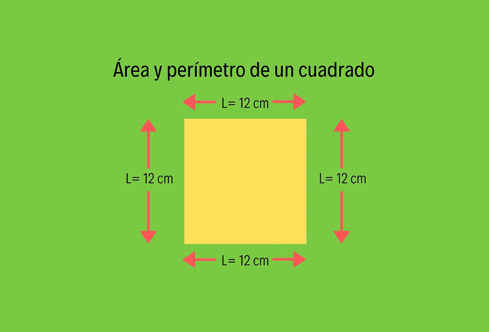 Qué significa área" en términos simples: definición fácil" 1 calcular area