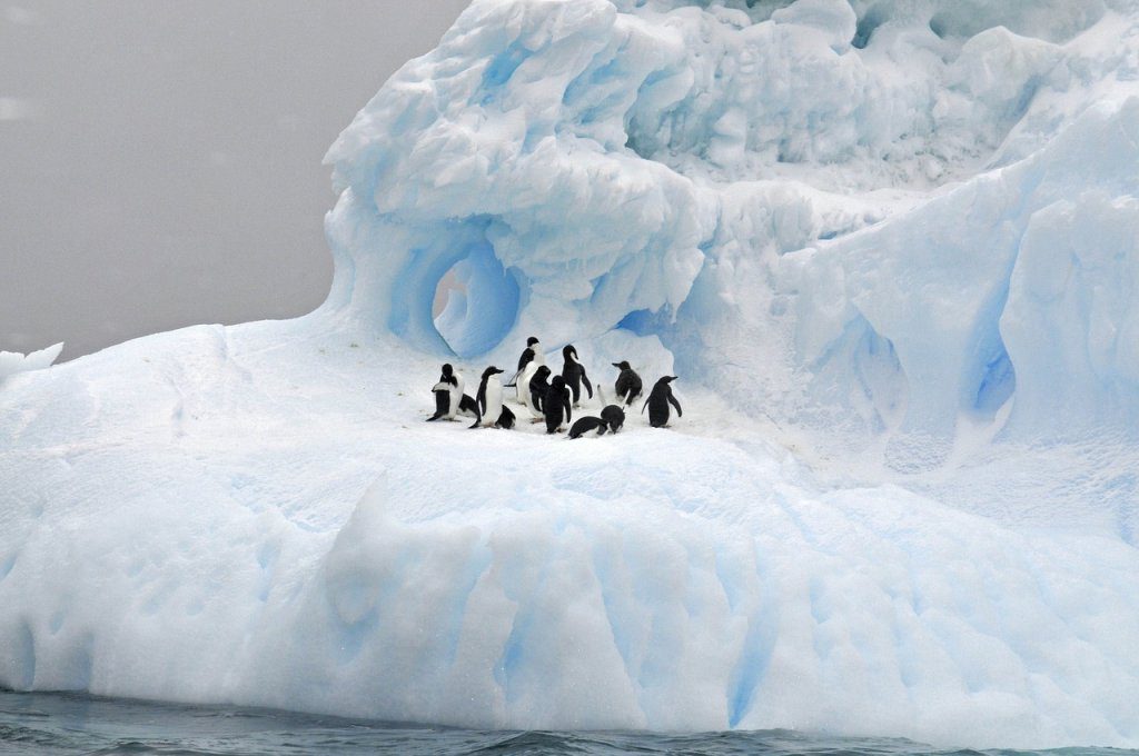Cuáles son los países de América con clima frío 1 climas frios