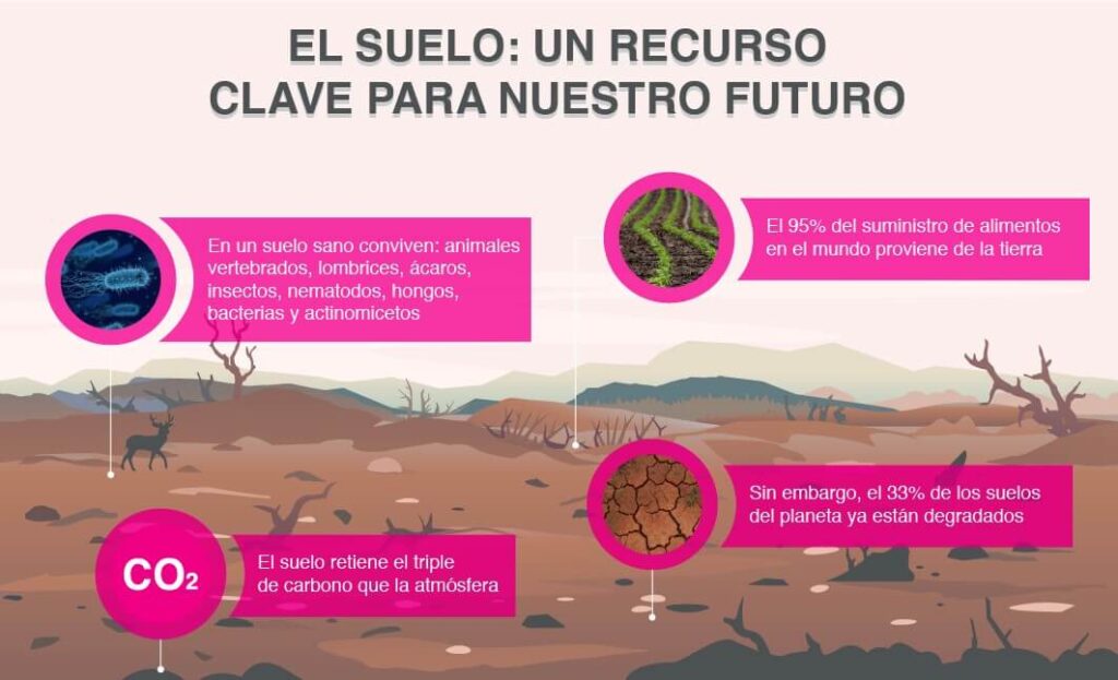 conoce las principales causas de la alteracion de los suelos y como prevenirla