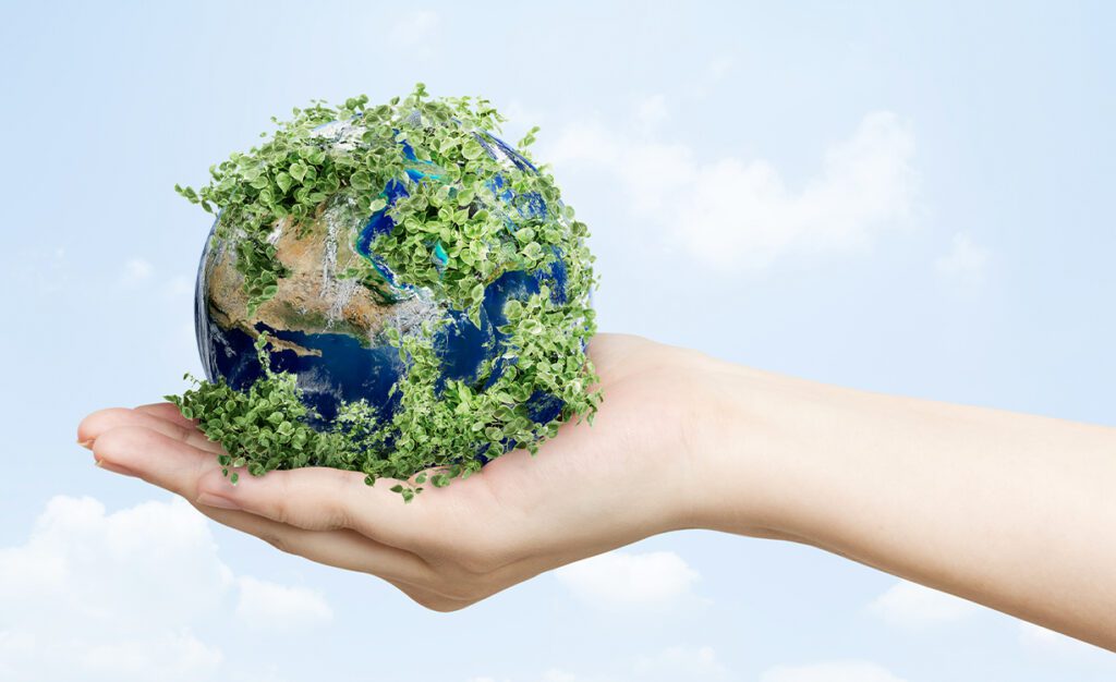 descubre como se conmemora el dia mundial del medio ambiente en argentina