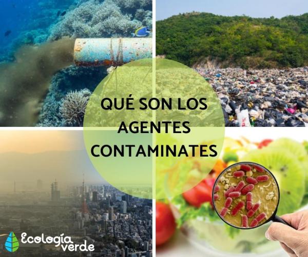 descubriendo el origen de la contaminacion del agua donde se encuentra la mayor cantidad de agentes contaminantes