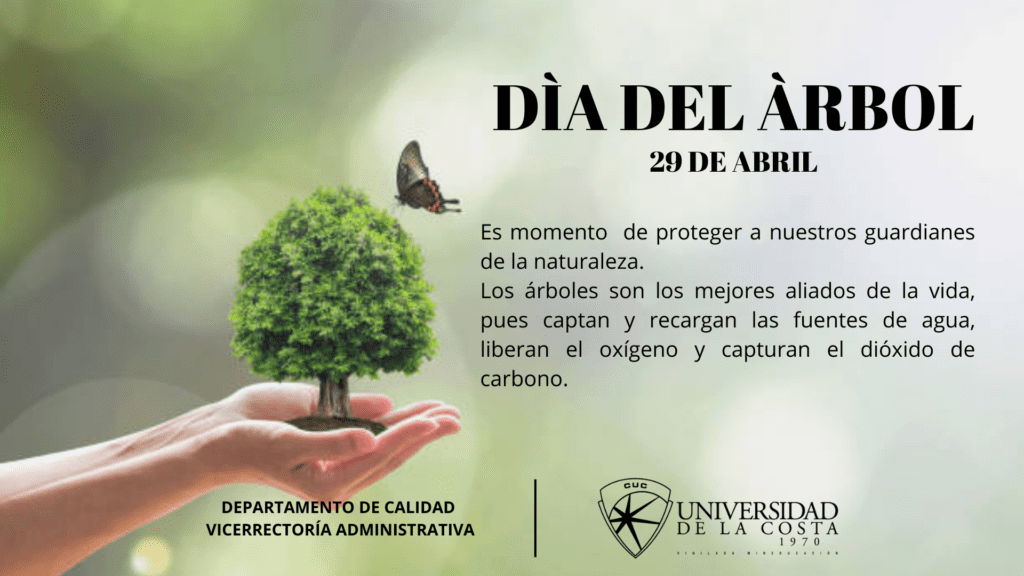 Qué es el Día del Árbol y por qué es importante para los niños 1 dia arbol 1