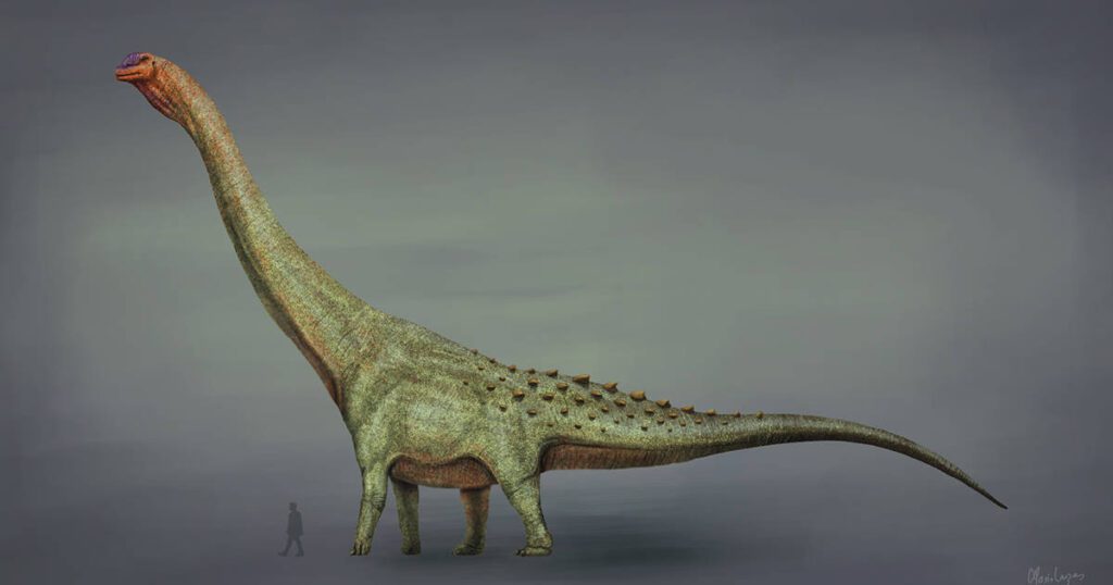 Cuál era el dinosaurio más grande de todos los tiempos 1 dinosaurio grande