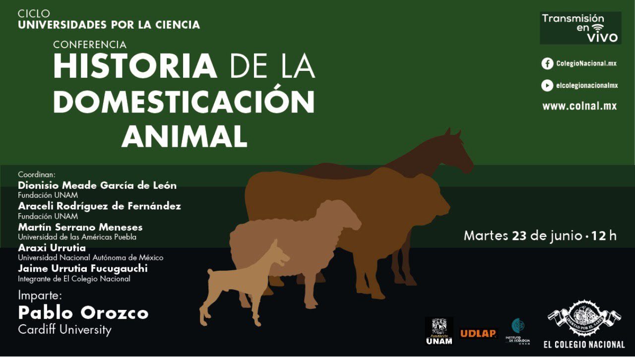 Cuáles fueron los primeros animales domesticados por el hombre