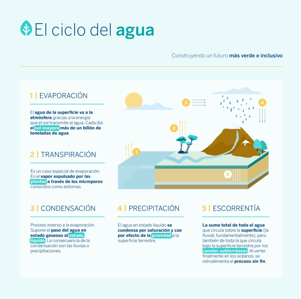 el origen de la contaminacion del agua una historia ambiental que debemos conocer