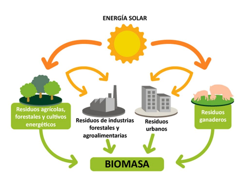 energia biomasa