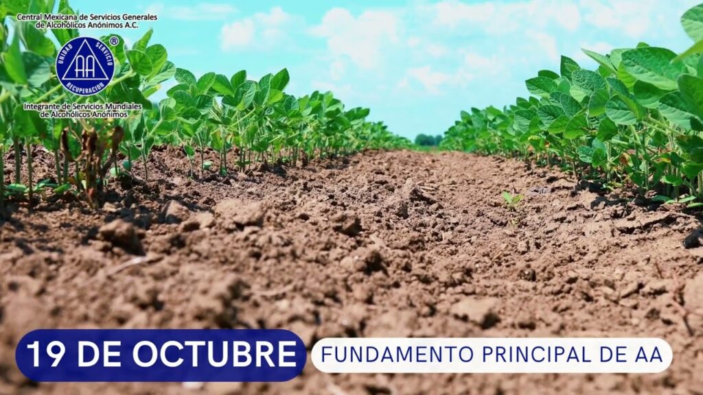 fundamento principal