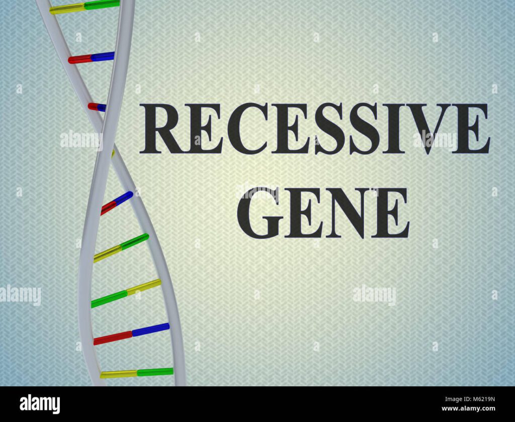 Qué es un gen dominante y un gen recesivo: conceptos básicos 1 gen recesivo