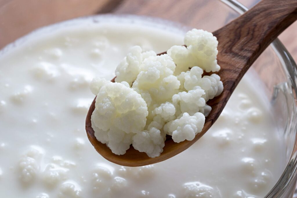 Cómo hacer kéfir desde cero en casa: guía completa 1 granos kefir