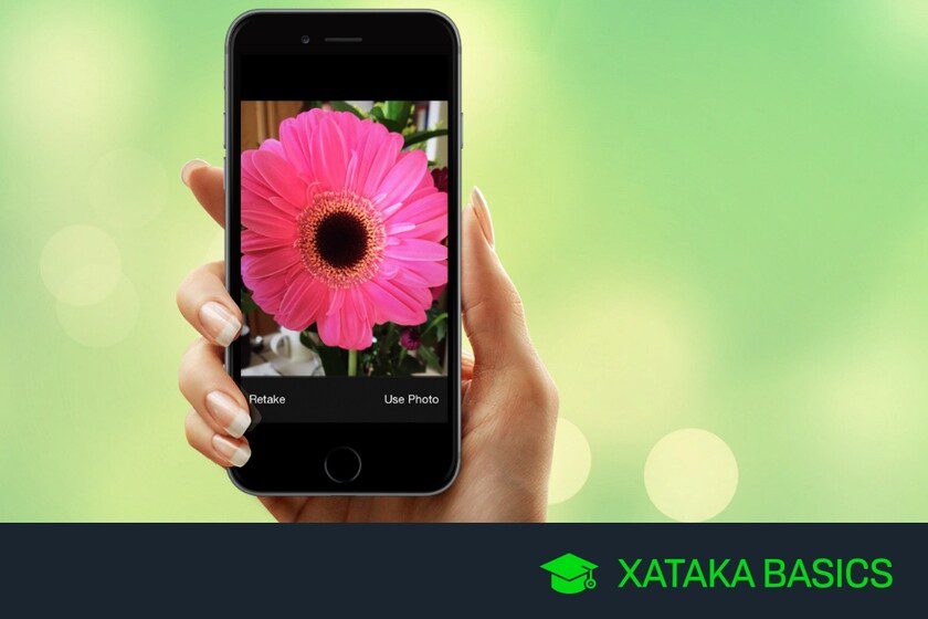 identificar plantas 1