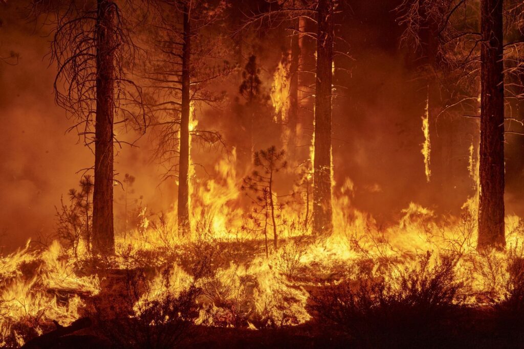 Cómo afectan la deforestación e incendios forestales a Colombia 1 incendios forestales