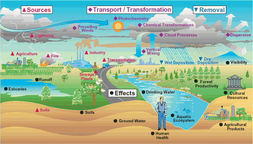 la impactante verdad sobre la contaminacion ambiental que tipo afecta mas a nuestro planeta