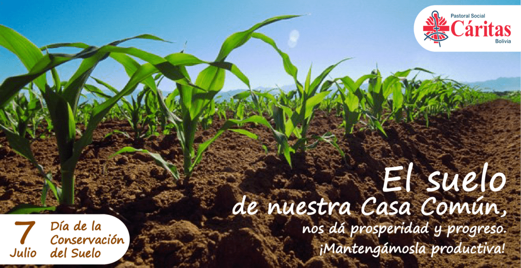 la importancia de cuidar el suelo consecuencias devastadoras si no lo hacemos