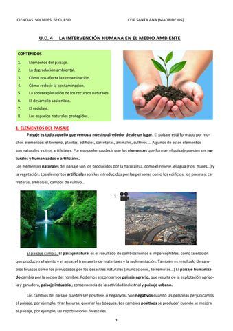 la interconexion vital entre el ser humano y el medio ambiente como nos afecta y como podemos preservarla