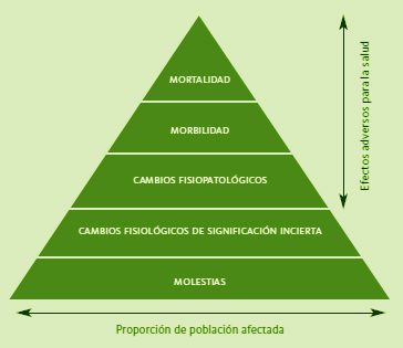 las 3 consecuencias negativas de la contaminacion del aire en el medio ambiente y la salud