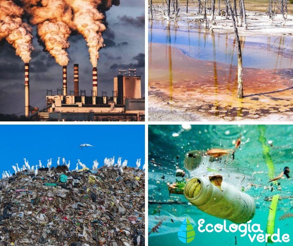 los contaminantes mas comunes en el suelo y su impacto en el medio ambiente