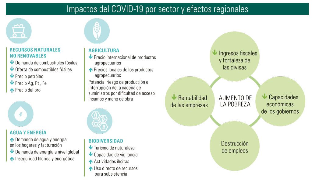 los factores clave que afectan al medio ambiente y como podemos enfrentarlos