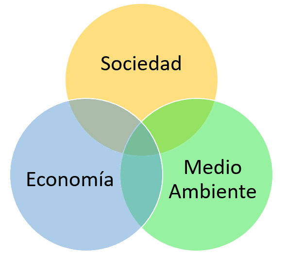 los fundamentos esenciales conoce los pilares ambientales para proteger nuestro planeta