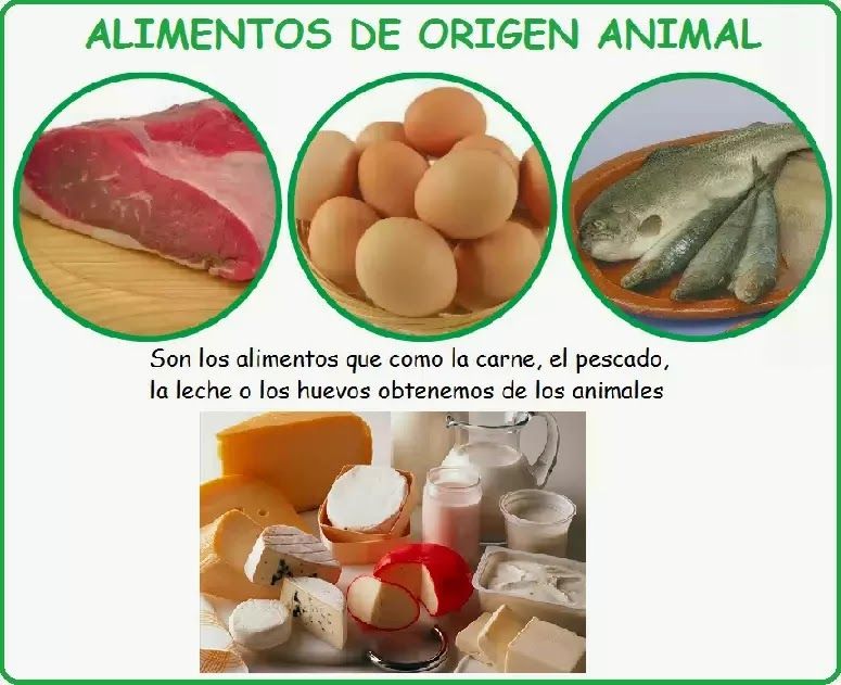 origen animal
