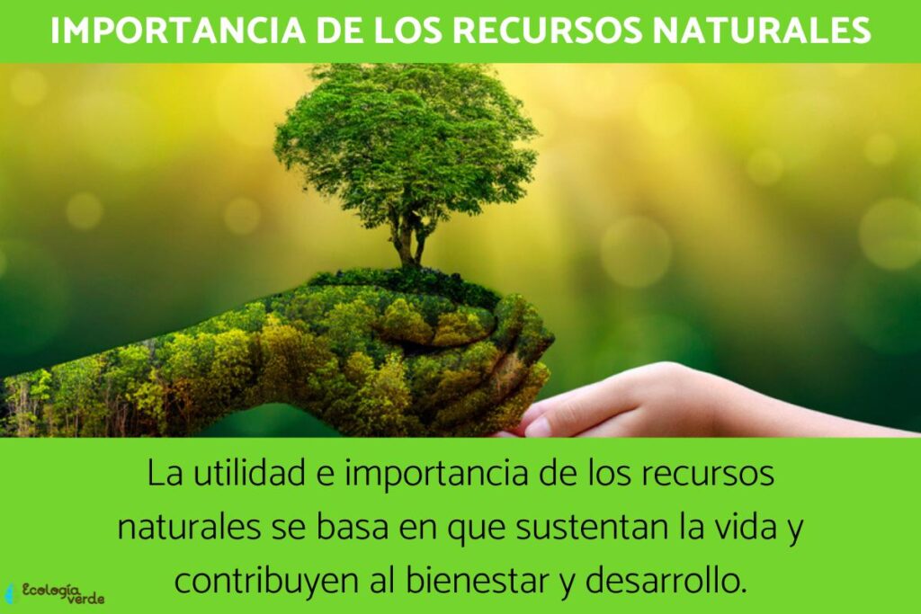 por que debemos valorar y proteger nuestros recursos naturales