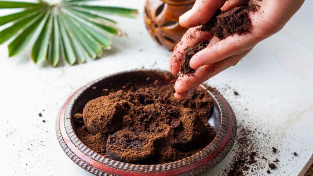 Cómo revivir una planta con remedios caseros efectivos 1 posos cafe