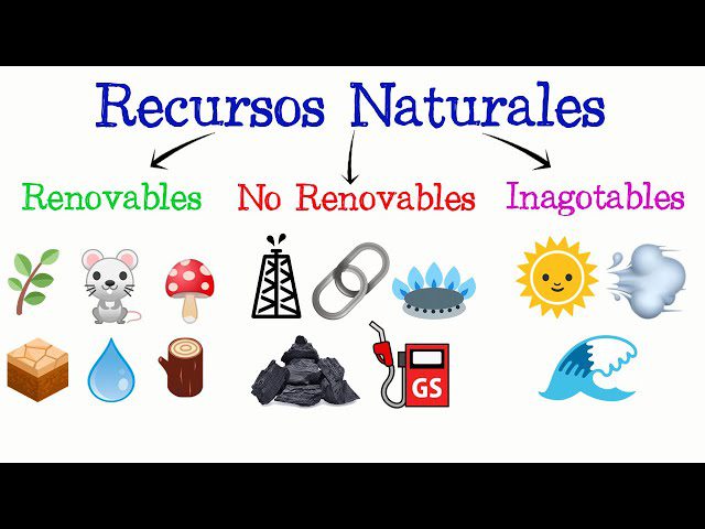recurso renovable 1