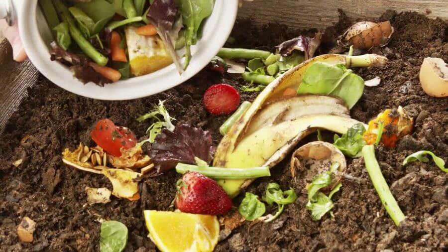 residuos organicos 2