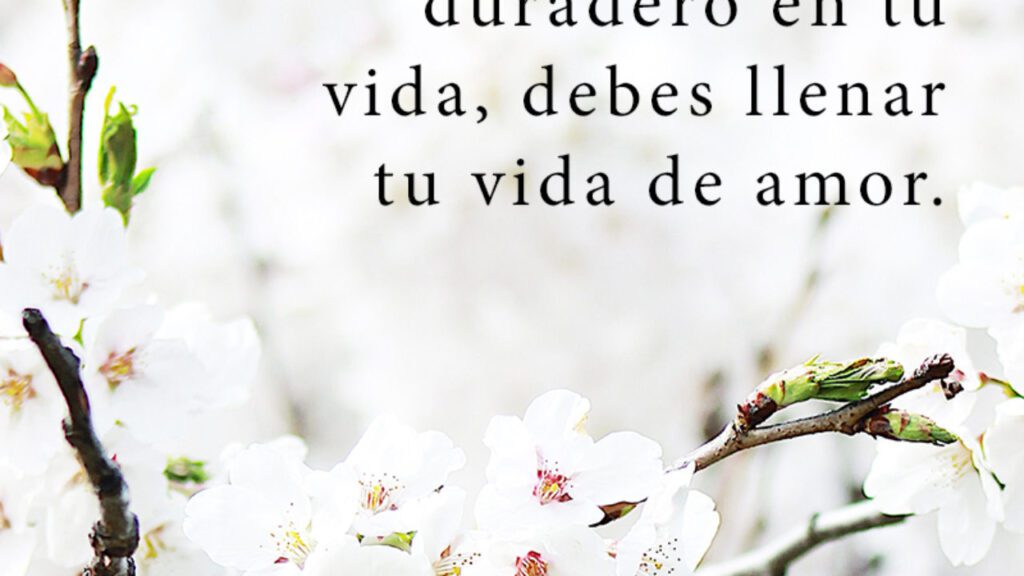 Cuáles son las mejores frases de la vida y el amor para reflexionar 1 vida amor